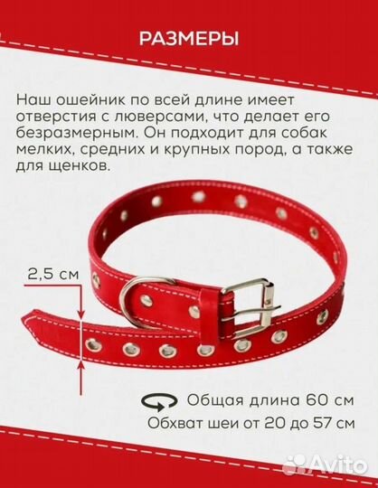 Ошейник для собак