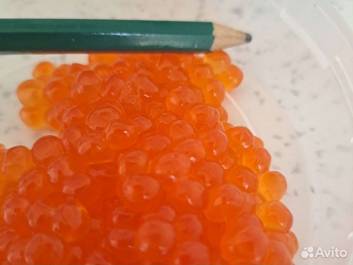 Красная икра горбуши