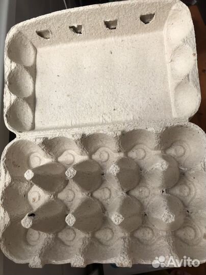 Лотки для яиц