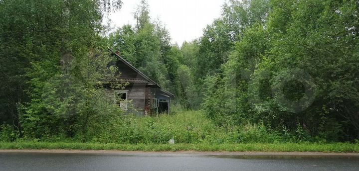 Участок 15,5 сот. (ИЖС)