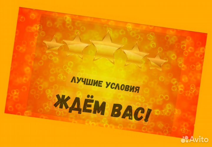 Обвальщики вахтой Жилье +еда Авансы еженед Хор.Усл