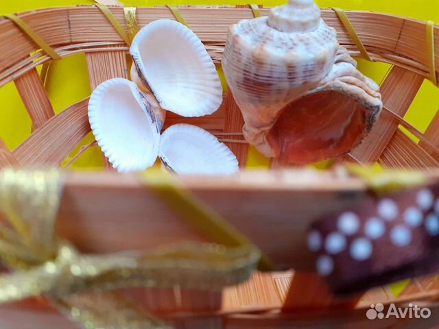 Морские ракушки с корзинкой