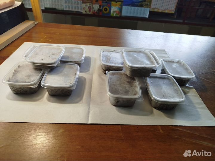 Товары для рыбалки оптом