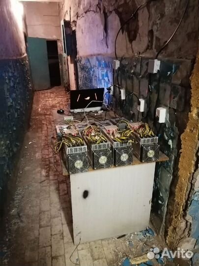 Asic bitmain antminer l3+