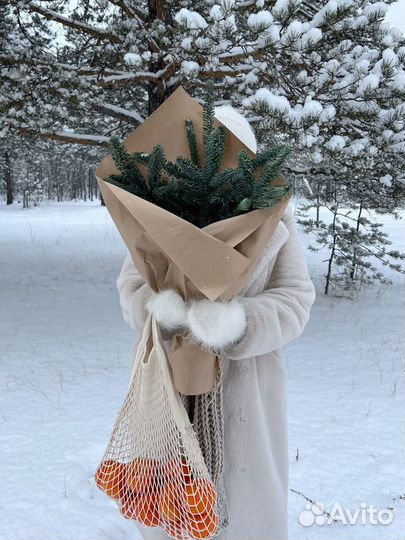 Мобильный фотограф