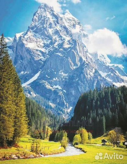 Алмазная мозаика 40x50 Долина с видом на заснеженн