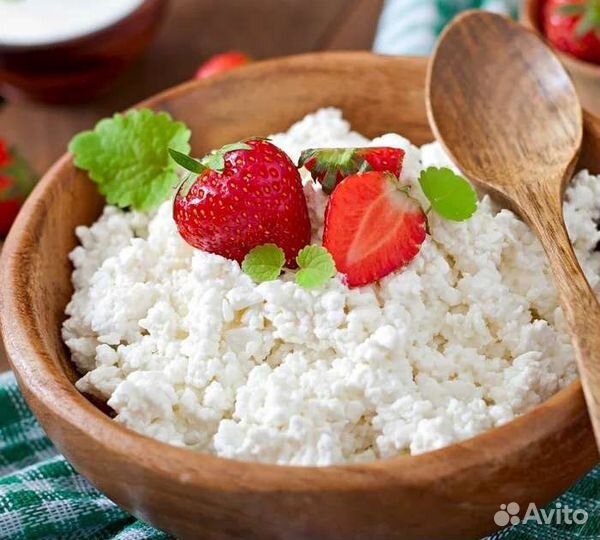 Молоко и молочные продукты