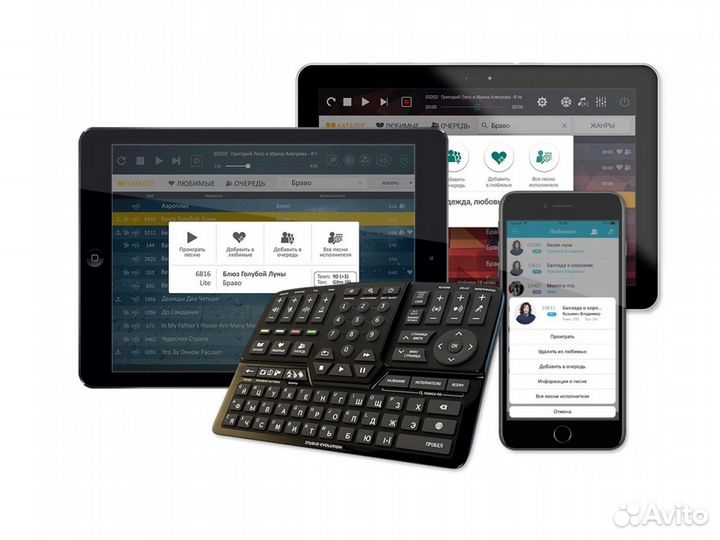 Evolution Lite 2 Premium караоке система