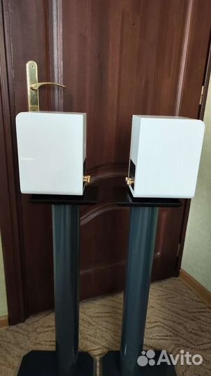 Акустическая система Bluesound Duo D20