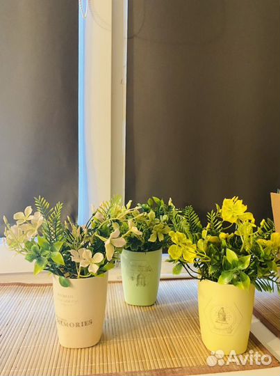 Зелень для декора