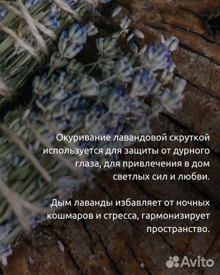 Полынь. Лаванда. Зверобой. Шалфей. Травы