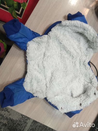 Комбинезон для собаки