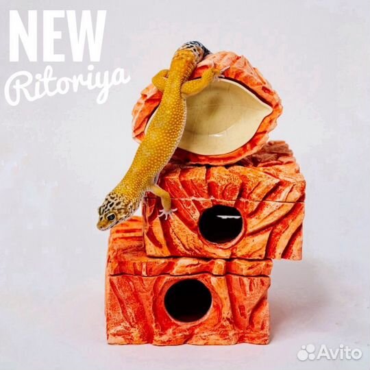 Влажная камера для рептилий, укрытие и поилка