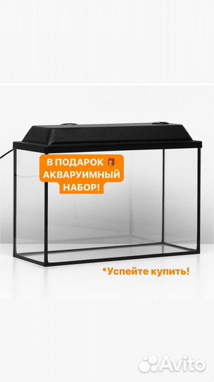 Аквариум