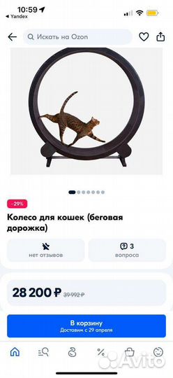 Колесо для кошек, беговая дорожка