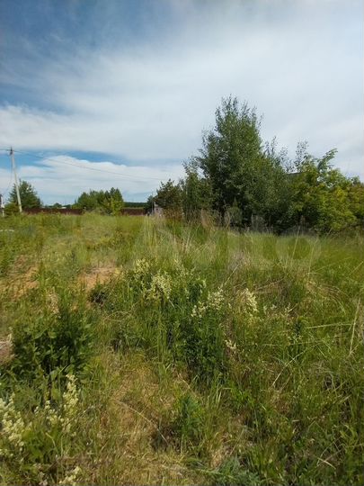 Участок 10 сот. (ИЖС)