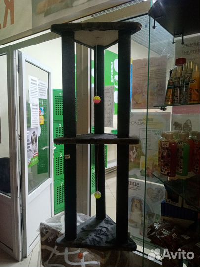 Когтеточка угловая