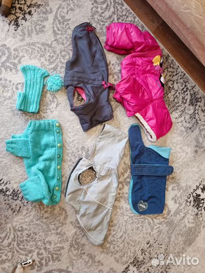 Одежда для собак мелких пород