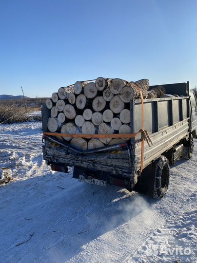 Дрова Осина