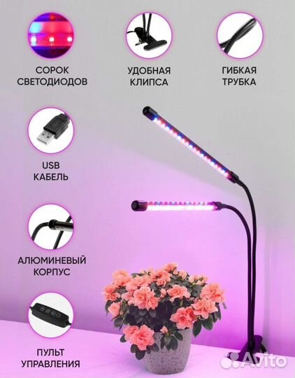 Фитолампы для растений