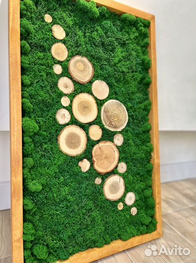 Панно стабилизированный мох/спилы