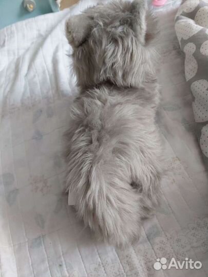 Мягкая игрушка