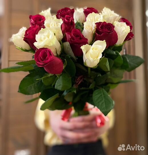 Бело-красные розы
