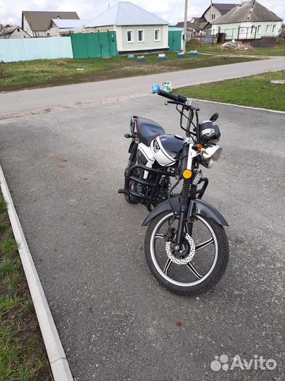 Alpha rx 125