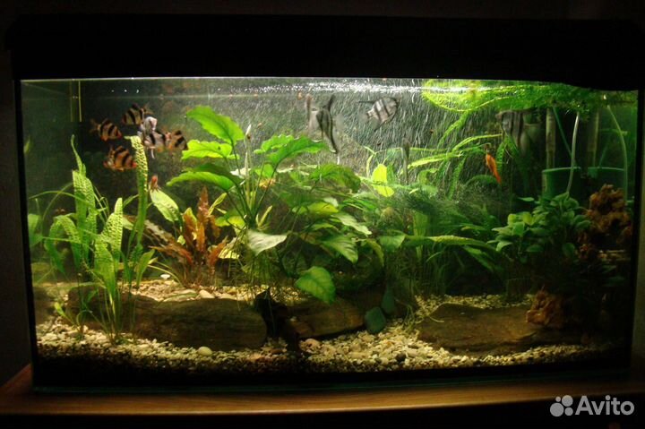 Грунт и камни в аквариум