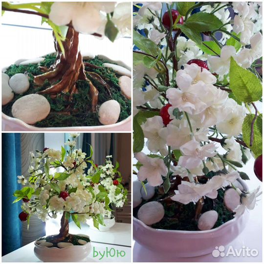 Бонсай интерьерный