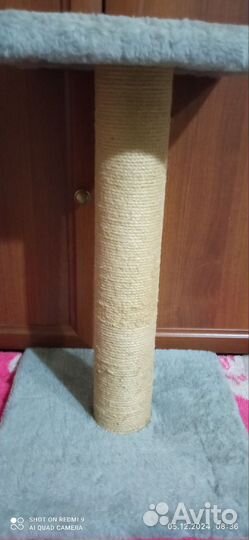 Когтеточка