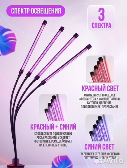 Фитолампа для рассады и растений