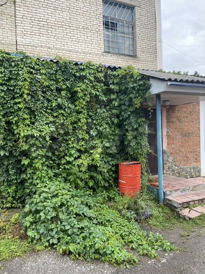 Свободного назначения, 53.4 м²