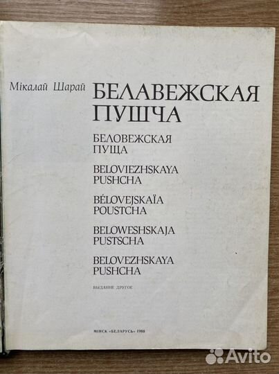 Шарай Н.А. «Белавежская пушча»
