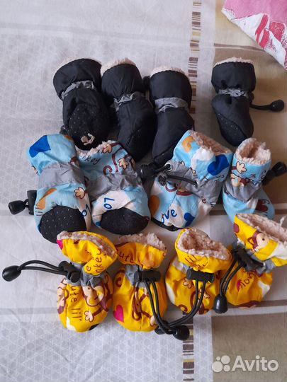 Одежда, обувь на маленькую собачку. Пероноски