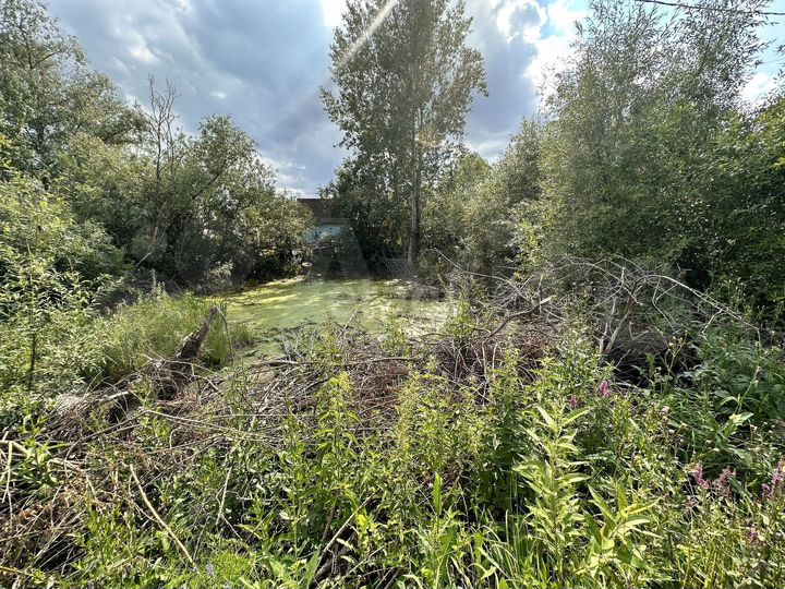 Участок 4,8 сот. (СНТ, ДНП)