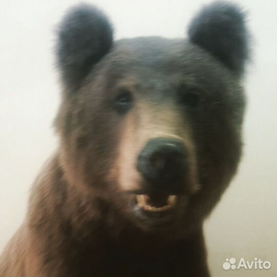 Охота и рыбалка