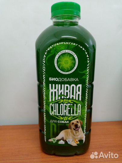 Биодобавка микроводоросль Хлорелла живая