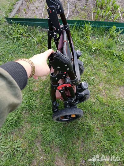 Коляска 2 в 1 tako lungo