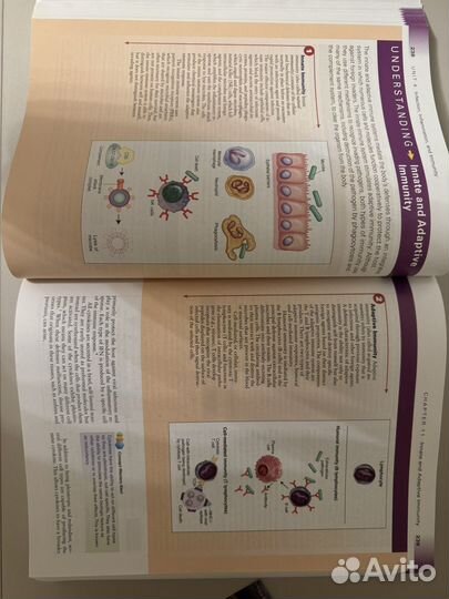 Essentials of Pathophysiology usmle Патфиз