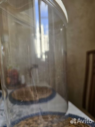 Банки для сыпучих IKEA, 3шт