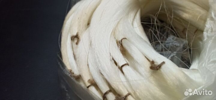 Леска рыболовная