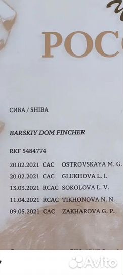 Кобель Сиба -Ину для вязки