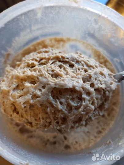 Закваска для хлеба