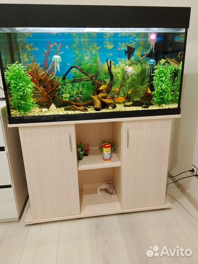 Аквариум