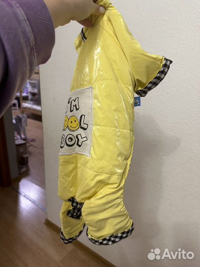 Одежда для собак