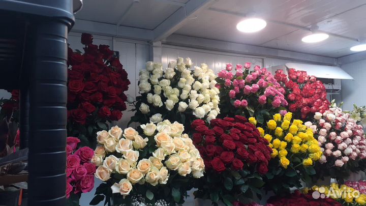 Реализатор