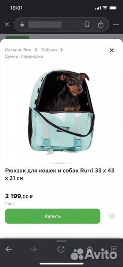 Рюкзак для кошек и собак Rurri бирюзовый