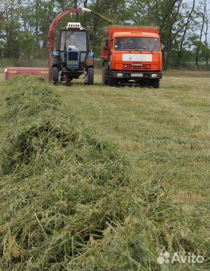 Комбайн Клевер Sterh, 2022