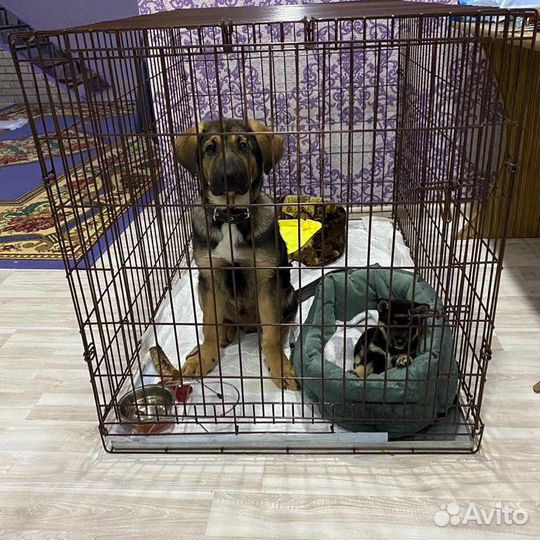 Клетки вольер